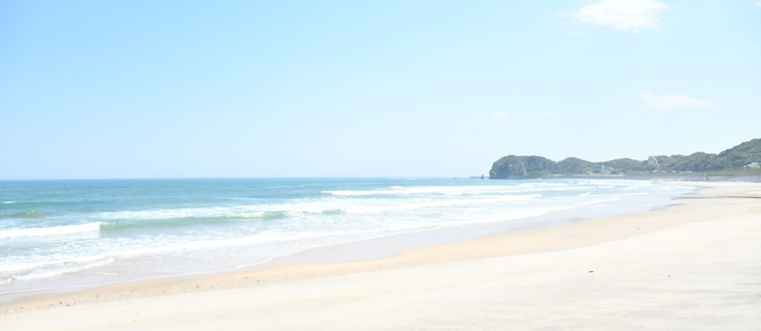 海岸