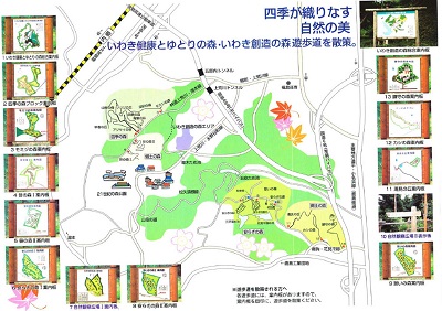 いわき健康とゆとりの森遊歩道