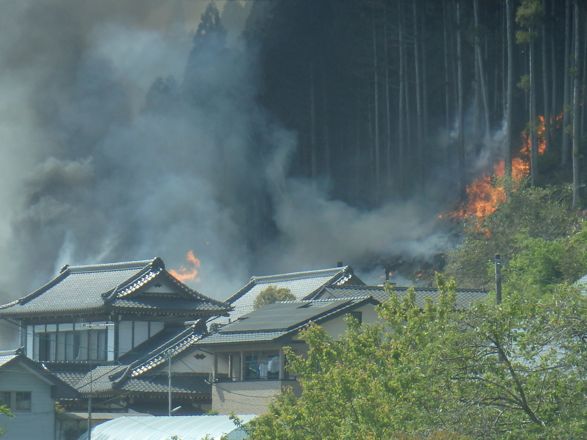 恐ろしい森林・林野火災