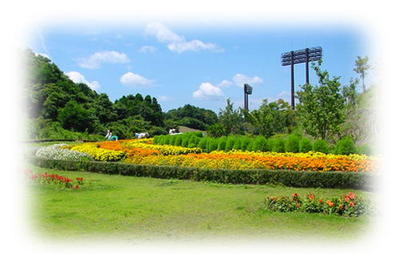 21世紀の森公園花の谷