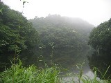 金成の郷の円後池の様子2