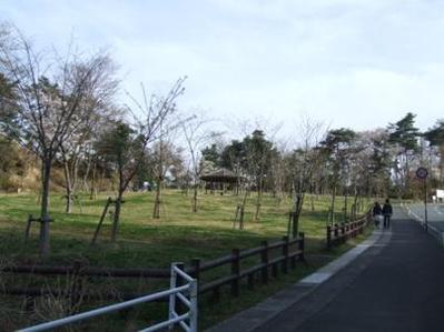 お花見広場