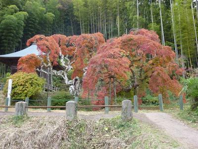 平成22年11月25日