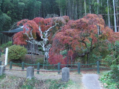 平成20年11月27日