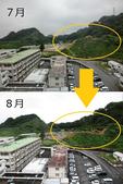 土砂を運び出す作業の様子