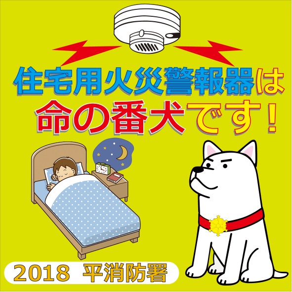 2018年 戌年