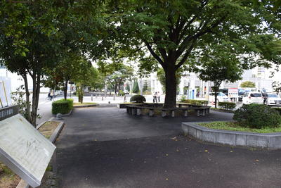 現在の新川緑地