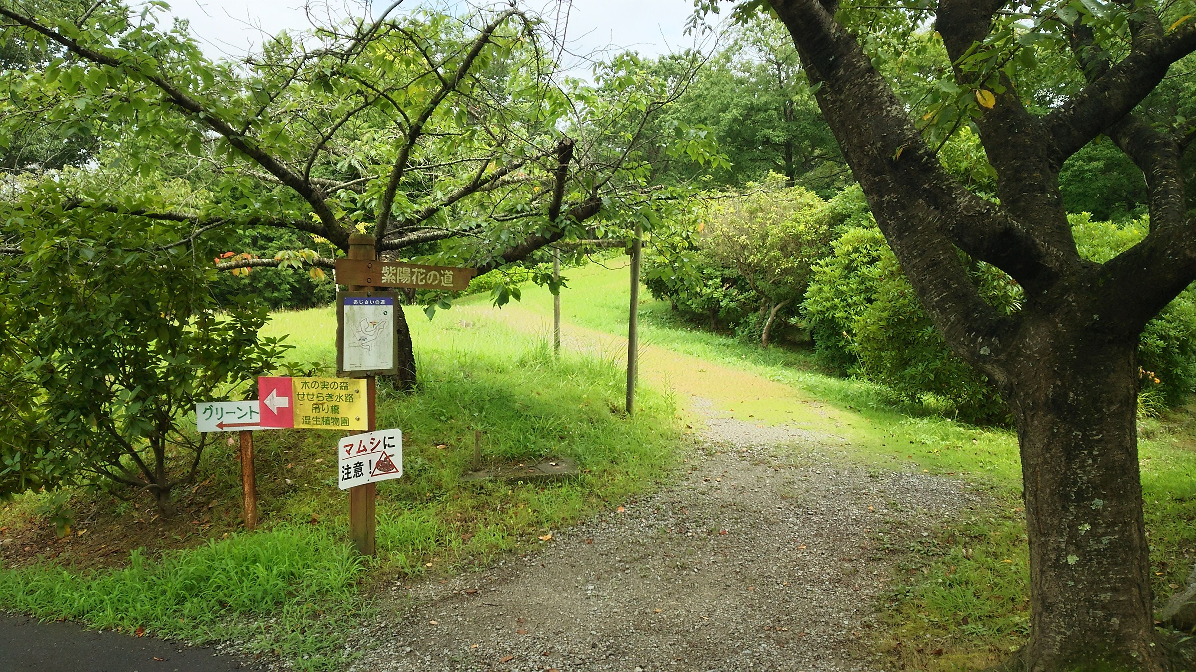 あじさいの道北側入口