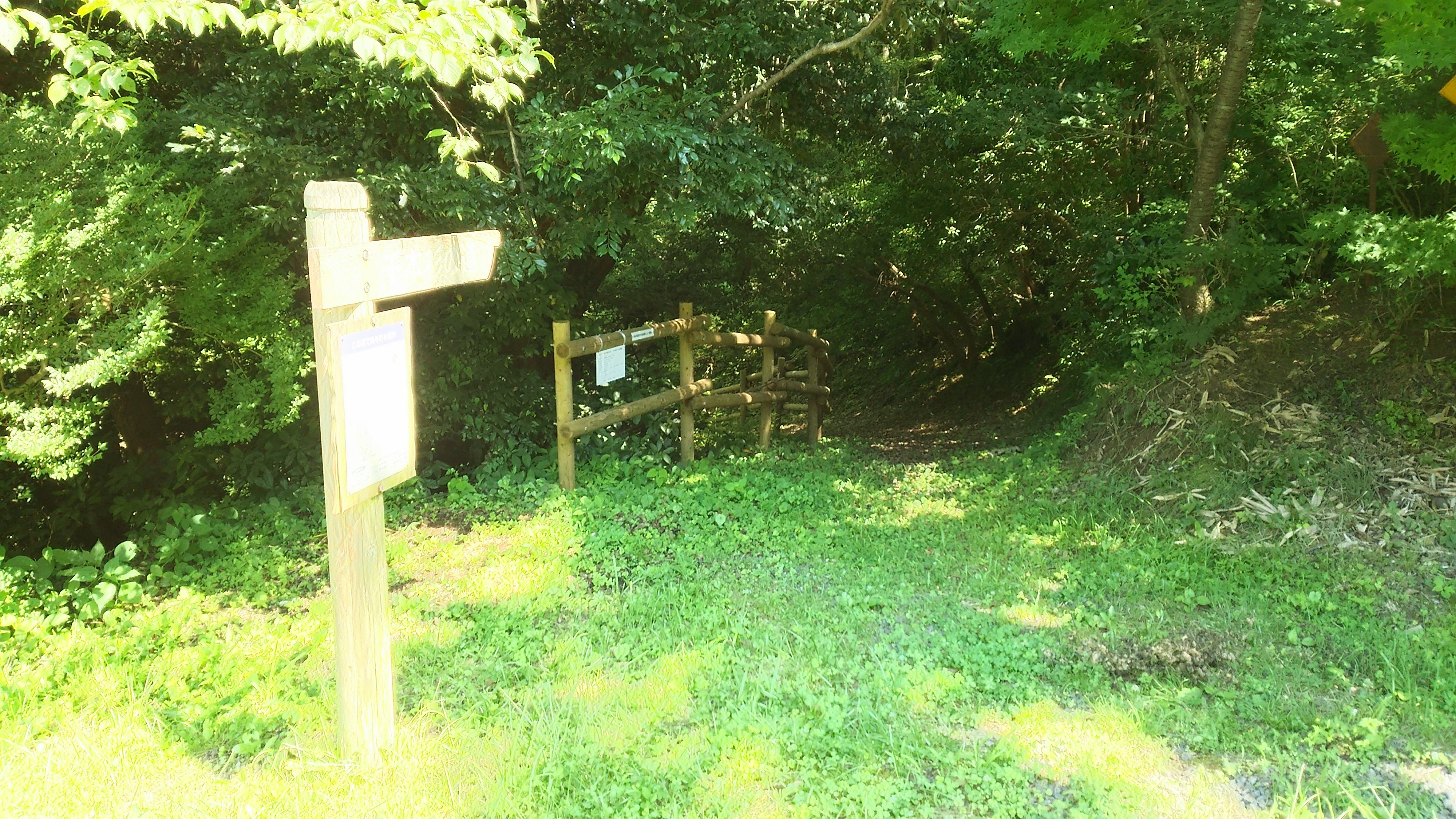 千本杉の道の看板と入口