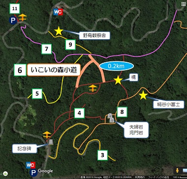 いこいの森小道
