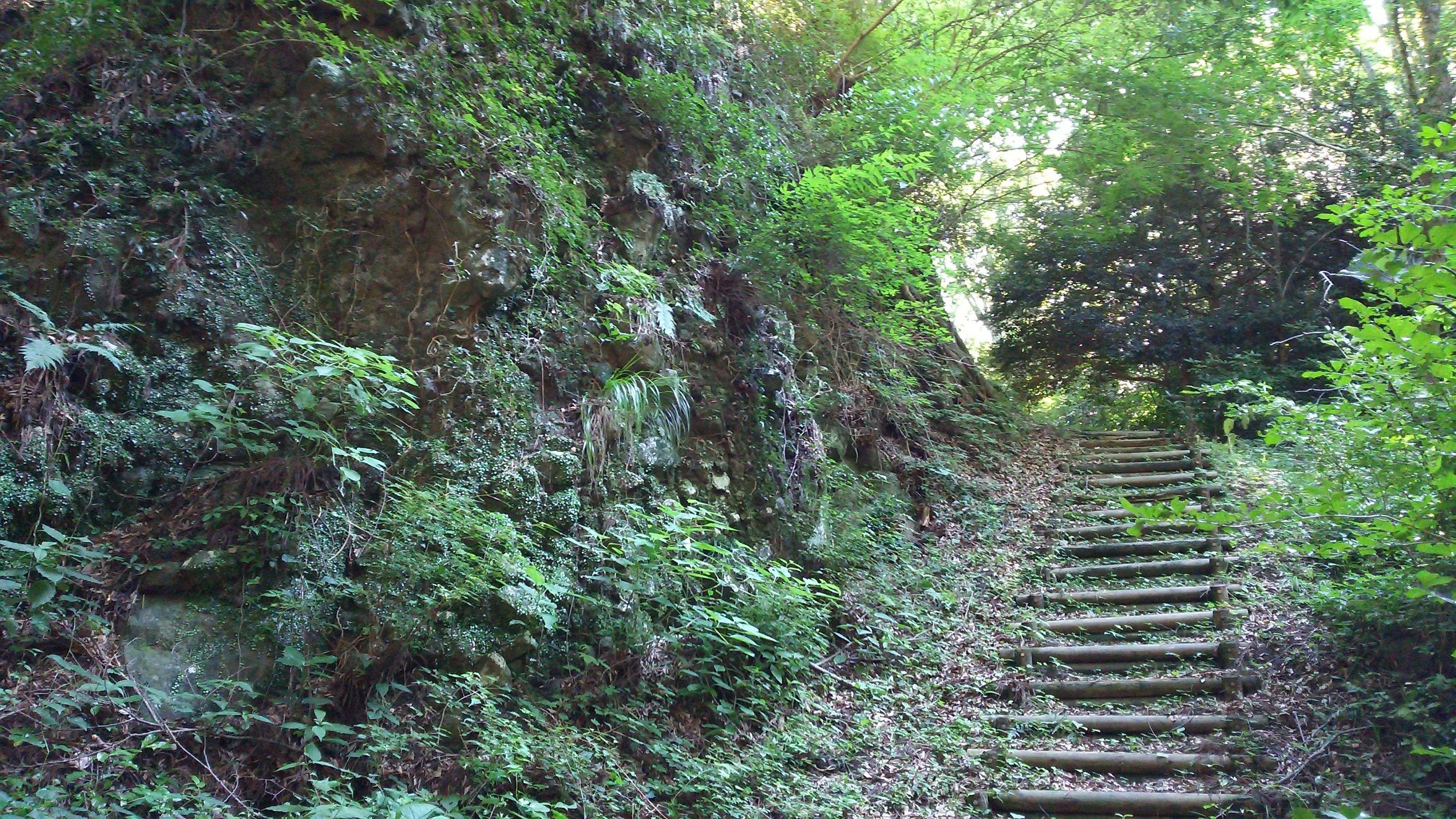 夫婦岩の絹谷小富士側から撮影
