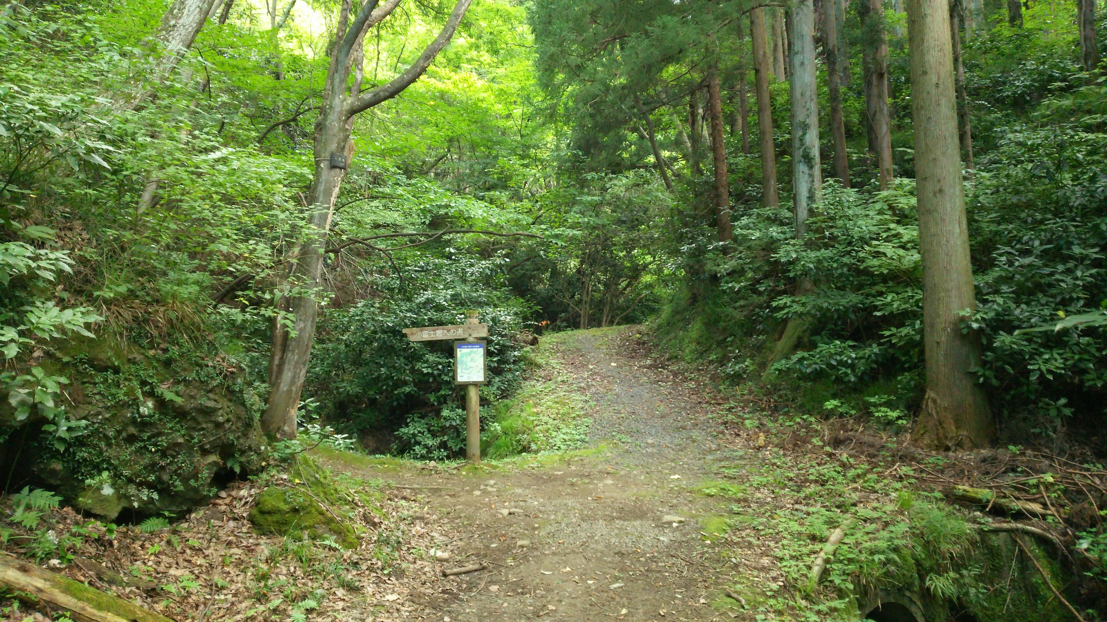 林道絹谷石森線側入口付近
