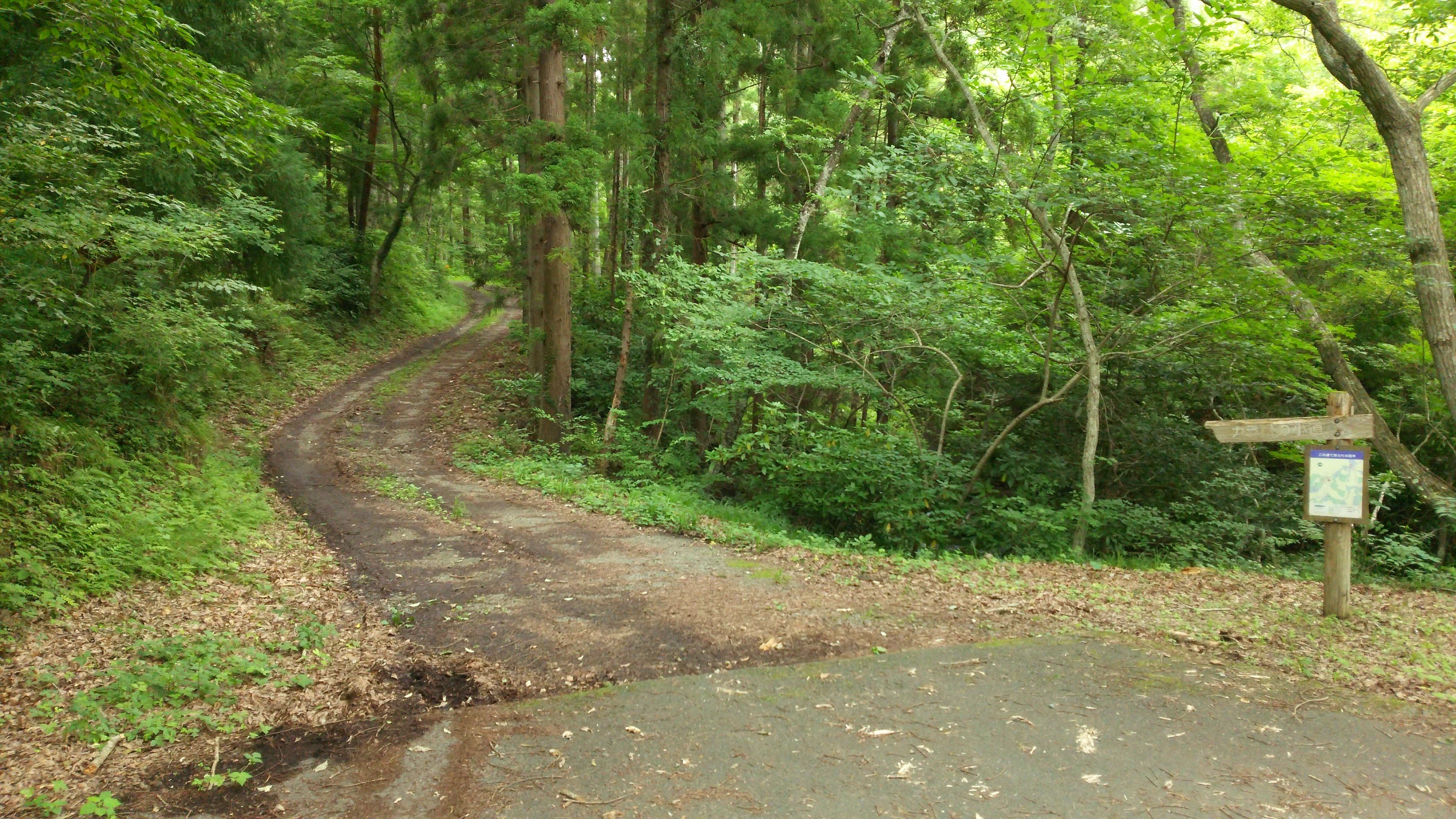 林道絹谷石森線沿いの入口