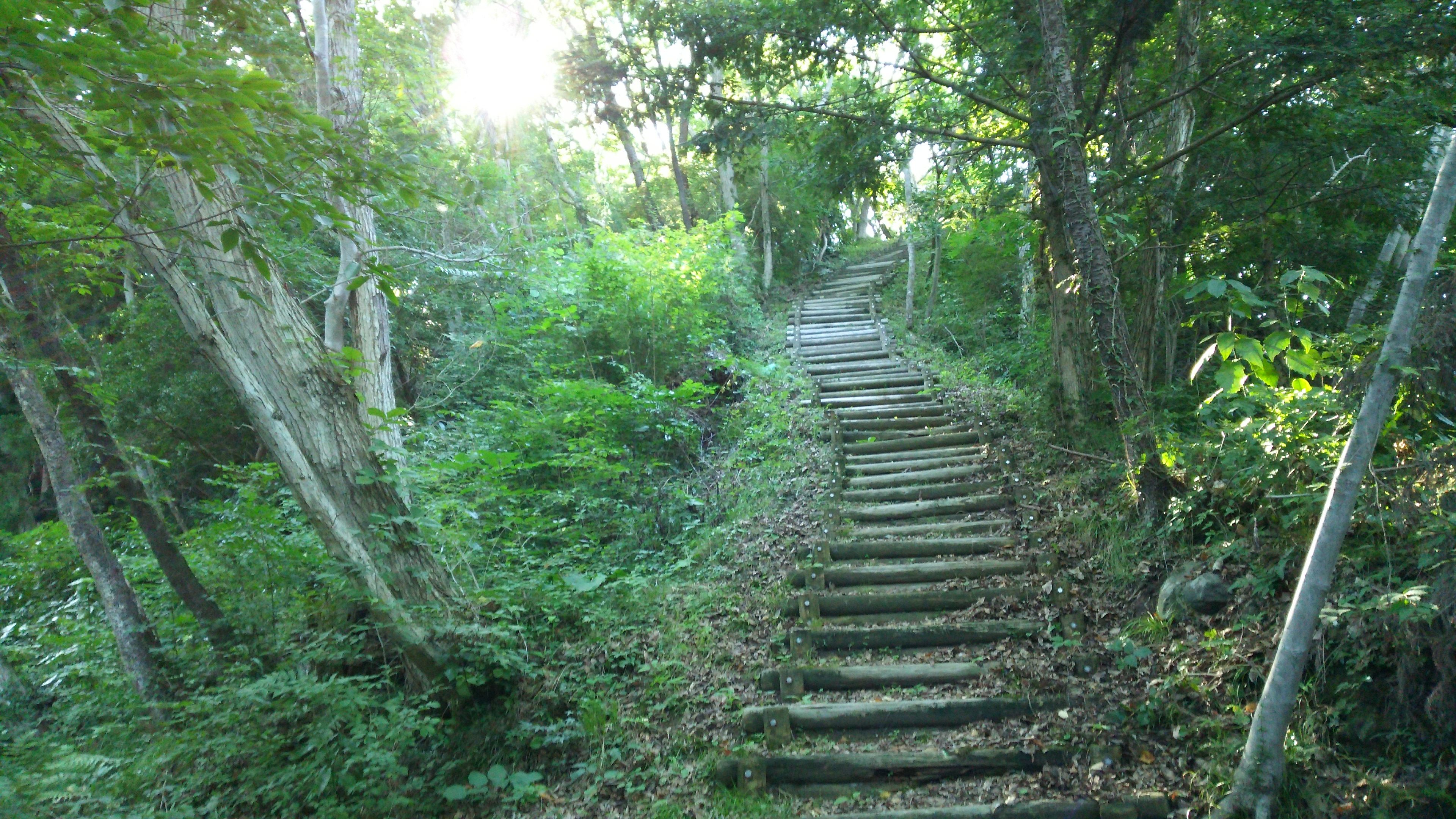 長い階段