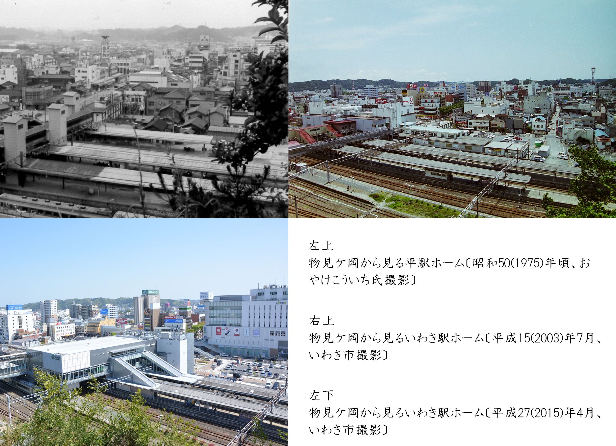 写真２