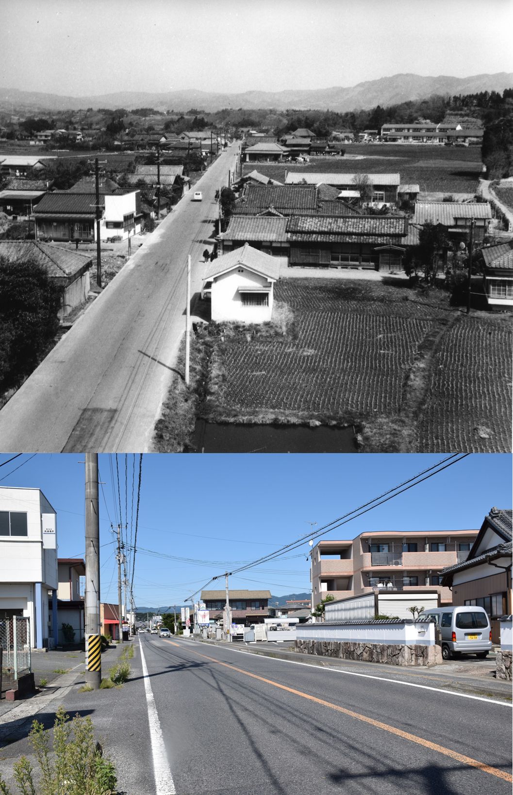 写真２