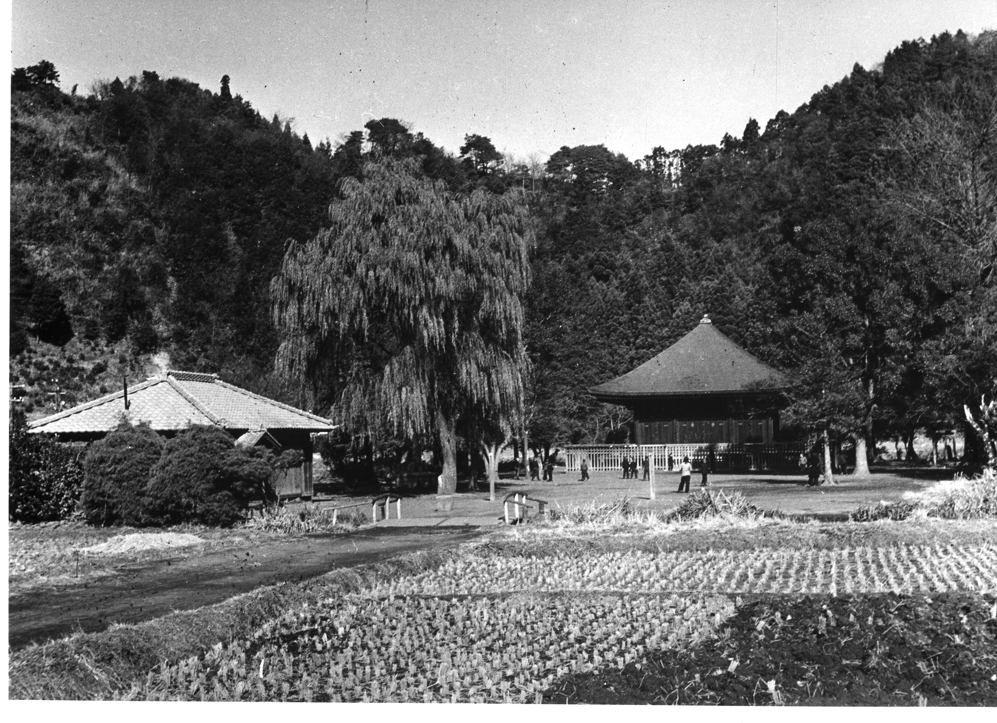 5 庭園が復元される前の阿弥陀堂〔昭和27(1952)年12月、松本正平氏撮影・松本正夫氏提供〕