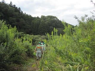 原野化した農地の調査