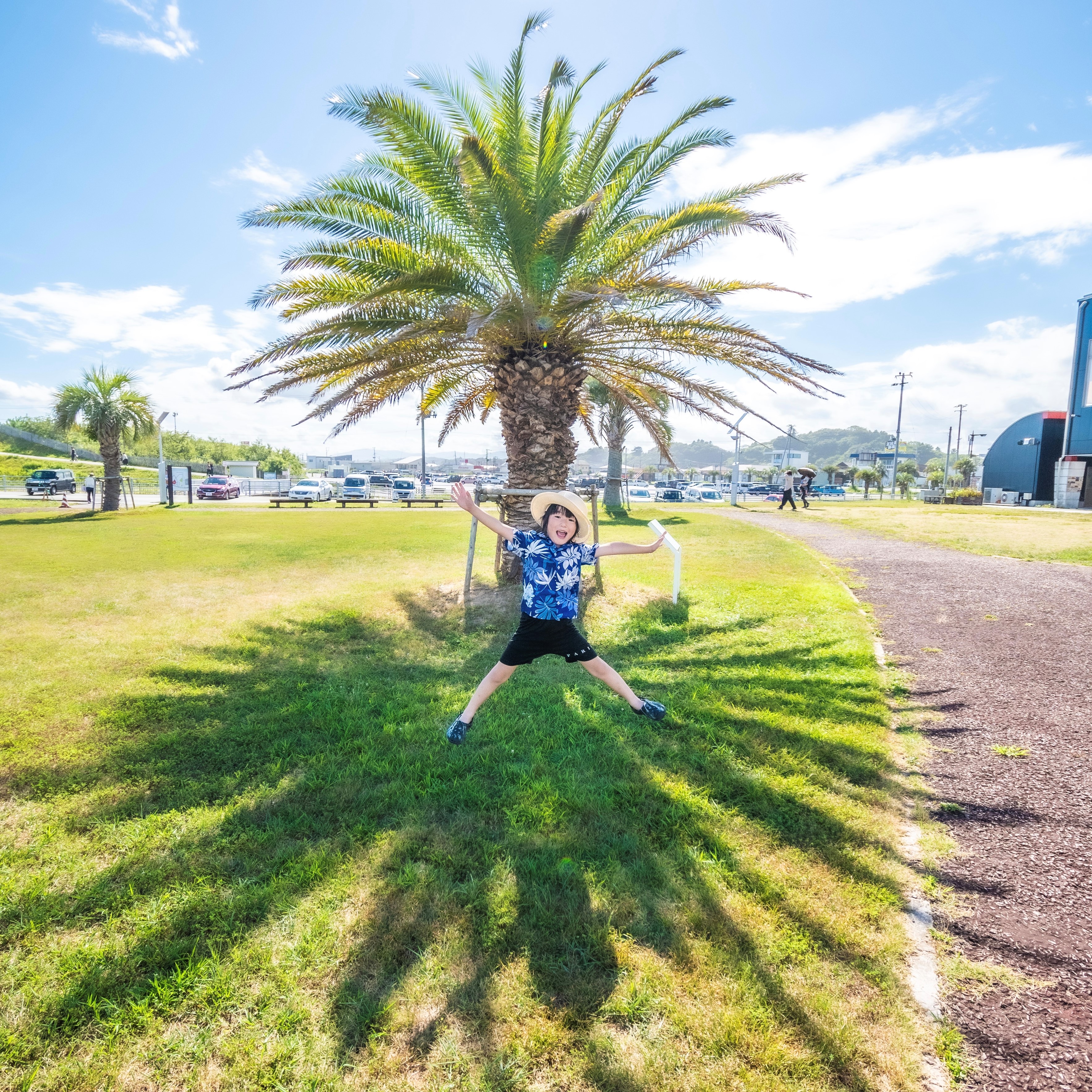 風景写真