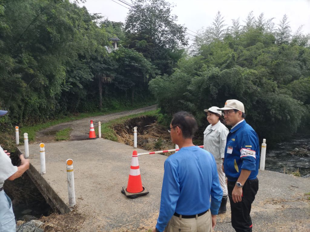現地確認