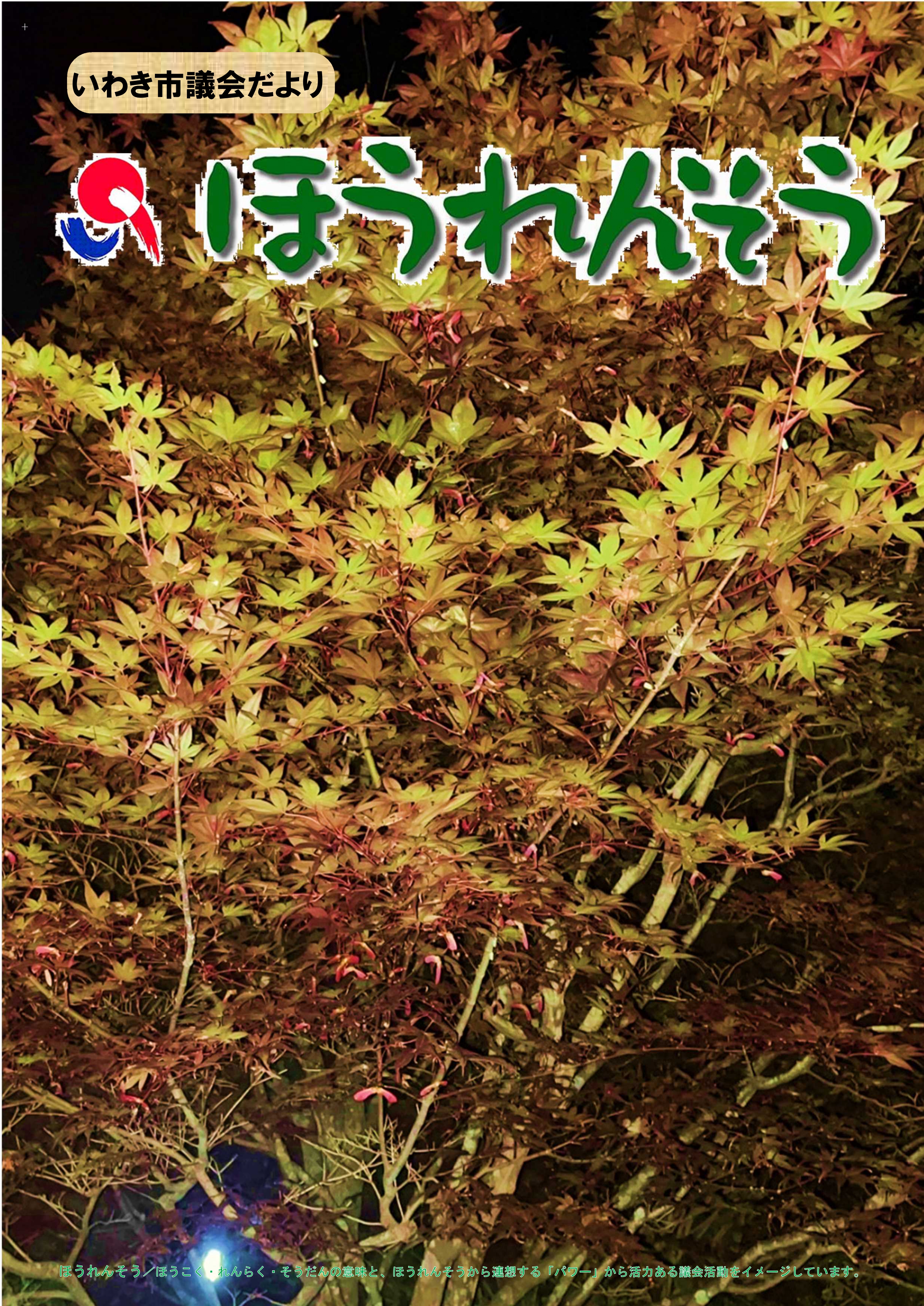 表紙候補