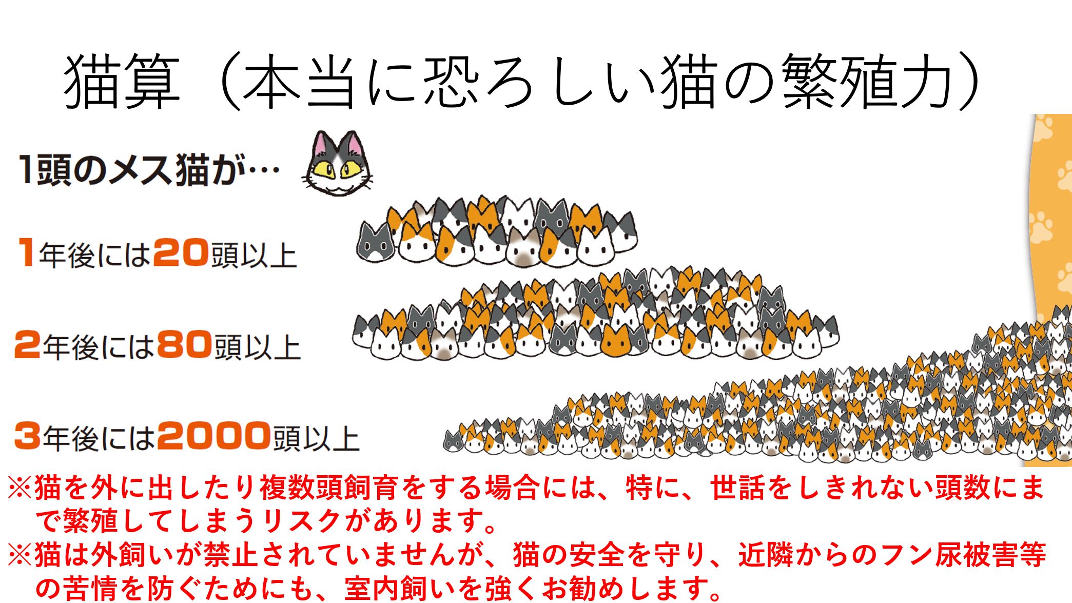 猫算