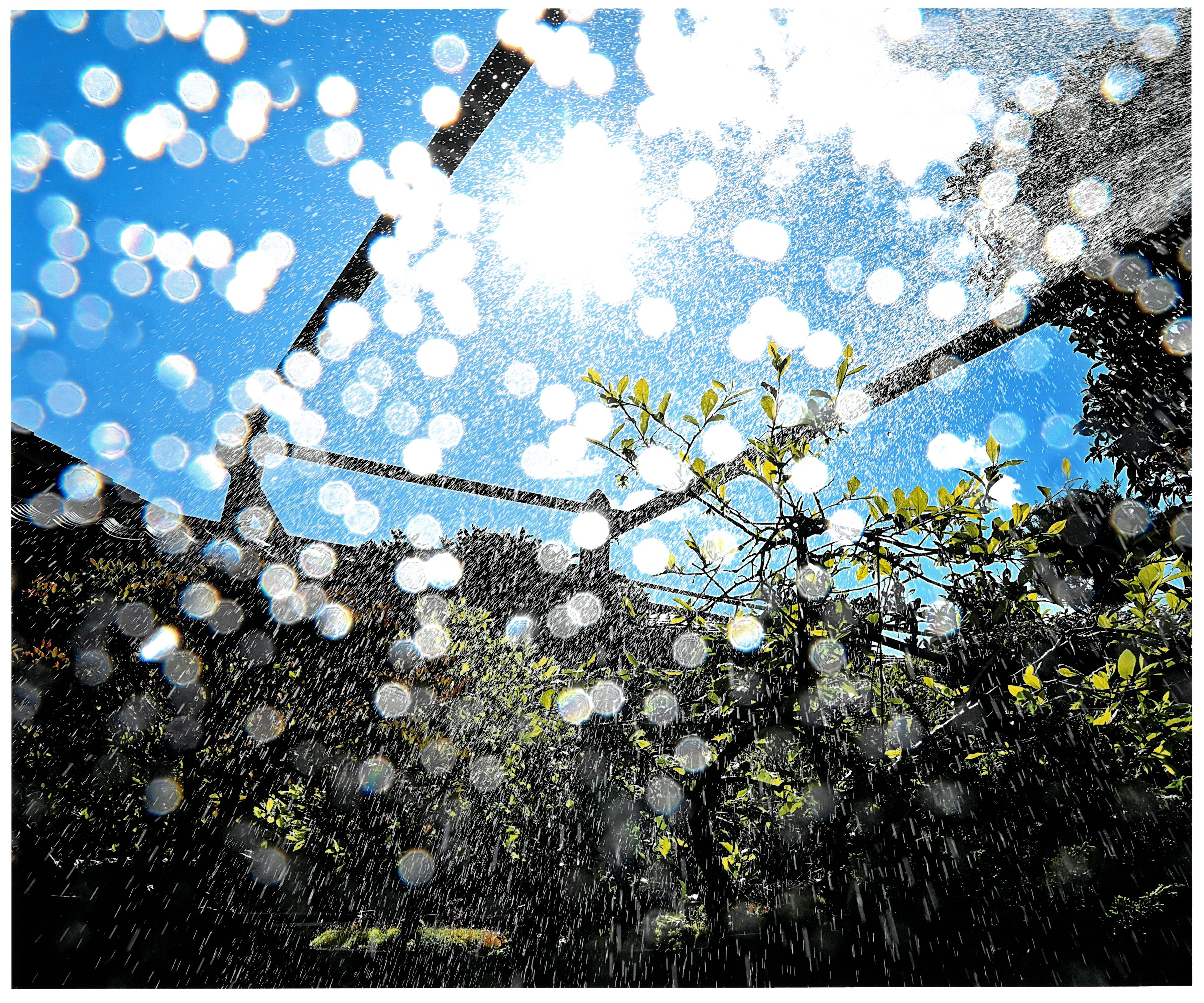 優秀賞　夏の予感